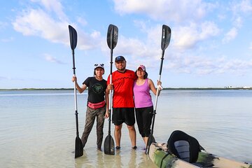 Kayaks at the Mangroves Lagoon Ecosystem from Cancun