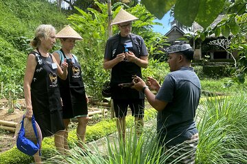 authentic Balinese organic cooking class in Ubud