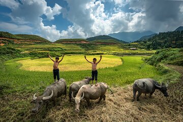 Ninh Binh Group Tour of 11 from Hanoi via Mua Cave Tam Coc Hoa Lu