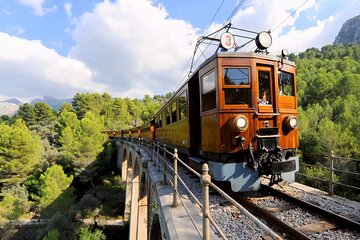 Scenic tour by Train, Tram and Boat through the lakes