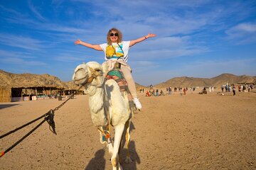 Enjoy with 1 - Hour Camel Ride with Transportation in Hurghada