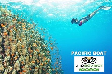 Premium snorkel trip& island hopping-SPEEDBOAT-SEAFOOD BBQ(MAX 8)