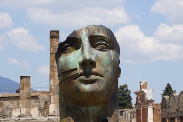 Pompeii Herculaneum and Wineries day tour from Naples