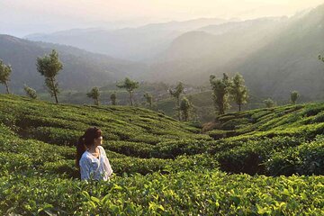 5 Days Kerala Private Premium Tour 