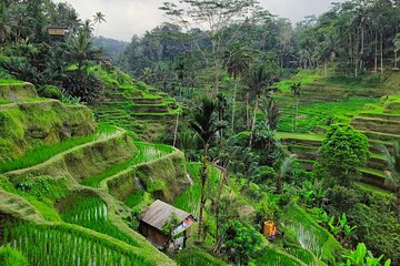 Bali Airport Pickup Transfer to Ubud Area (Private)