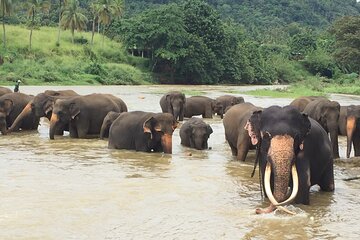8 Days Adventure Tour with Chauffeur and Air-condition Vehicle 