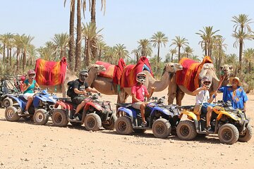Quad and camel ride in the desert of the Palmeraie Marrakech