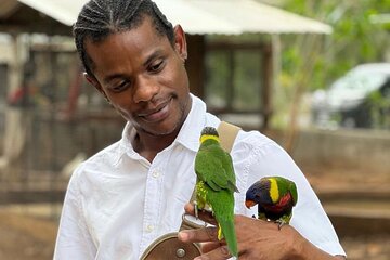 Bird Sanctuary and Montego Bay City Tour 