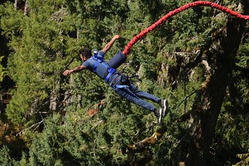 2-Day Garden Route Bungee Jump, Zipline & Shark Cage Diving tour