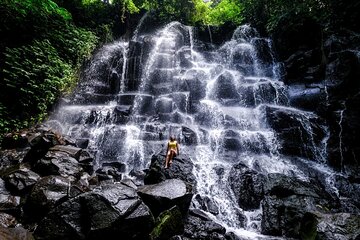 Ubud Costumize Tours