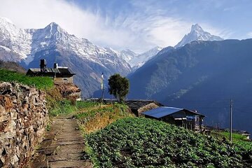 Multi-Day Ghandruk Trek in Pokhara