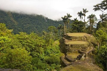 Discover Lost City: 4-Day Hike in Santa Marta