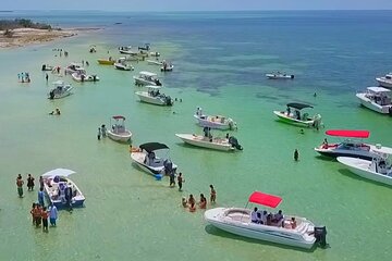 Half Day Charter Sandbar Snorkeling and Eco Adventure