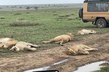 Turn on Village Water Taps with Luxury Safari-Exclusive Experienc