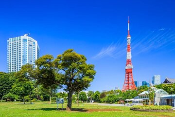 Private Transfer for Custom Day Tour in Tokyo 