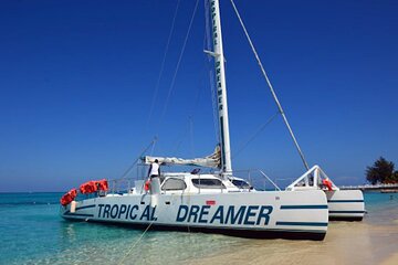 Full Day Catamaran Cruise to Rick's Café including Lunch