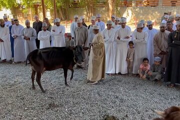 Private Friday Cattle Market-Nizwa and Jebel Akhdar-Full-Day Tour