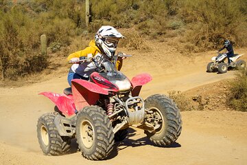 Self-Guided Centipede Desert ATV Rental