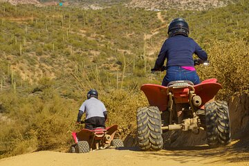 Centipede Tour - Guided Arizona Desert Tour by ATV