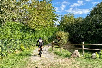 E-Bike tour and Wine tasting from Desenzano Inland