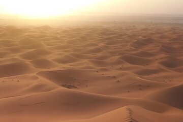 Sunset Merzouga Desert Safari in a 4x4 