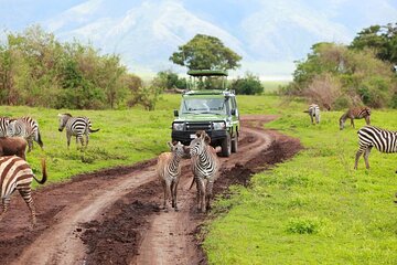 Tala Game Reserve, Natal Lion Park and Phezulu Safari from Durban