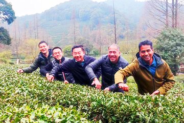 2-Hour Private Tea plantation tour in Hangzhou China