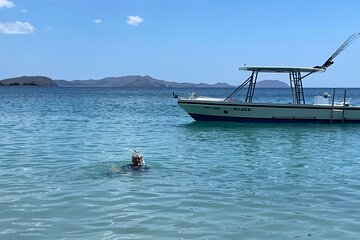 Private Snorkeling Tour by boat in Flamingo Beach