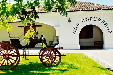 Private Winery Undurraga from Santiago