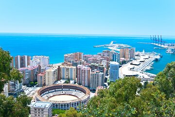 Malaga : Private Custom Walking Tour with A Guide (Private Tour)