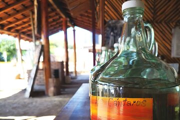 Tour Los Caminos del Mezcal Café and Pedal Loom Factory