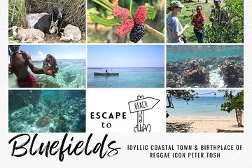 The Bluefields Experience: Organic Farm, Beach & Coral Reef