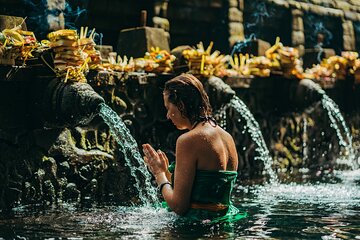 Full Day Ubud Private Tour with Swing Experience 