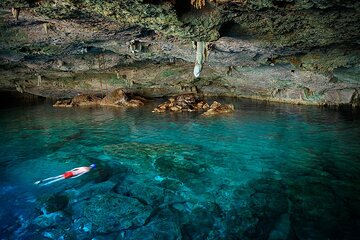 Dolphin, Sea Cave, Captain Cook, Kealakekua Bay Reef Snorkeling