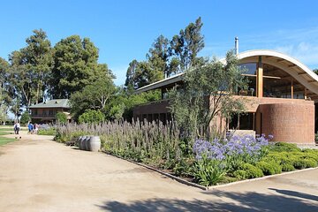 Private Tour World Biggest Organic Winery Emiliana & Valparaiso.