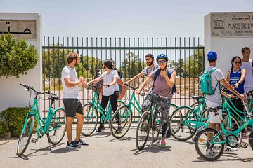 Group Guided Bike Tour of Carthage Archeological Site in Tunisia