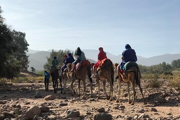 Live a unique experience on the Agafay Desert. 
