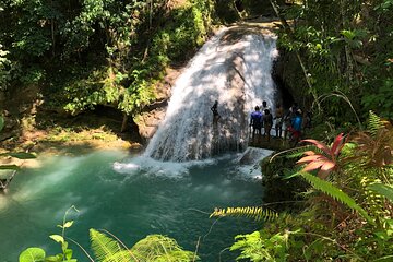 Dunn's River Falls and Blue Hole Private Tour from Montego Bay