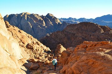 Mount Sinai and Catherine's Monastery Tour from Sharm El-Sheikh