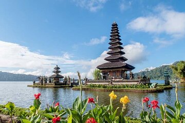 Bali One Day Tour : Rice Terrace, Monkey Forest and Waterfall 
