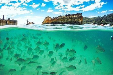 Adventure to Moreton Island Day Pass Experience