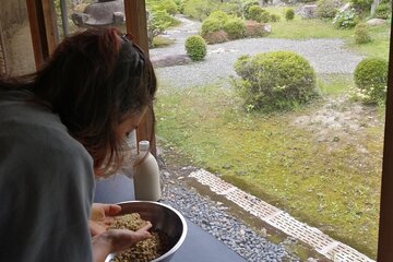 Strengthen the immunity!! Making miso in Japanese old house.