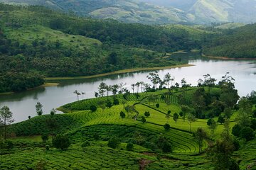 Private Tour 3 Nights Kerala Package Premium