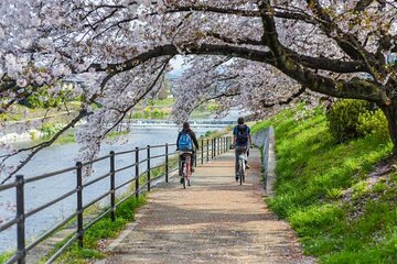 Private Kamigamo River Electric Bike Tour 