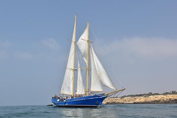 3 Hour Cruise Experience from Vilamoura