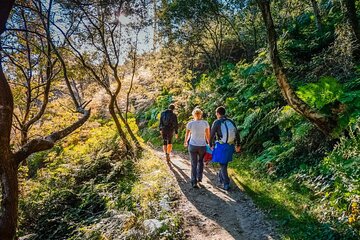 Hike The Camino Private Day Tour