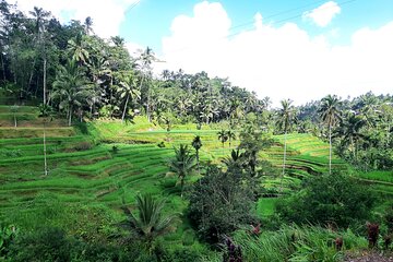 Best of Ubud - All Inclusive