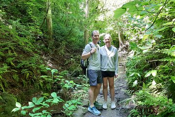 Full Day Hiking Tour at Mt.Takao including Hot Spring