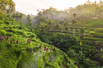 Private Full Day Best of Ubud Tour