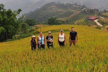 From Hanoi: 2-Day Sa Pa Ethnic Homestay with Trekking and Meals